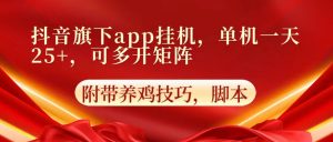 抖音旗下app自动挂机,单机一天收益25+,可多开矩阵-必智轻创社