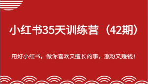 小红书35天训练营(42期)-用好小红书,做你喜欢又擅长的事,涨粉又赚钱!-必智轻创社