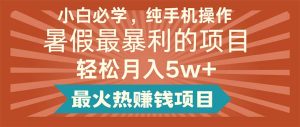 (11583期)小白必学,纯手机操作,暑假最暴利的项目轻松月入5w+最火热赚钱项目-必智轻创社