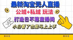 （11586期）最新淘宝无人直播 公域+私域玩法打造真正的日不落直播间 小白看了也能…-必智轻创社