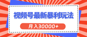 （11588期）视频号最新暴利玩法，轻松月入30000+-必智轻创社