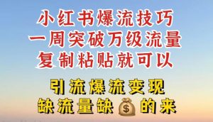小红书爆流技巧，一周突破万级流量，复制粘贴就可以，引流爆流变现【揭秘】-必智轻创社