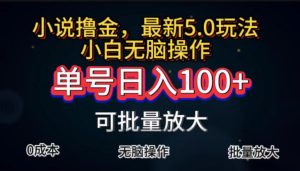 (11651期)全自动小说撸金,单号日入100+小白轻松上手,无脑操作-必智轻创社