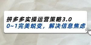 （11658期）2024_2025拼多多实操运营策略3.0，0~1完美蜕变，解决信息焦虑（38节）-必智轻创社