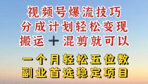 视频号爆流技巧,分成计划轻松变现,搬运 +混剪就可以,一个月轻松五位数稳定项目【揭秘】-必智轻创社