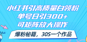 (11692期)小红书引高质量白领粉,单号日引300+,可放大操作,爆粉秘籍!30s一个作品-必智轻创社