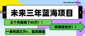（11716期）未来三年，蓝海赛道，月入3万+-必智轻创社
