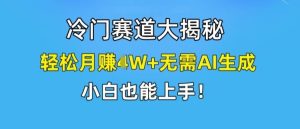冷门赛道大揭秘,轻松月赚1W+无需AI生成,小白也能上手【揭秘】-必智轻创社