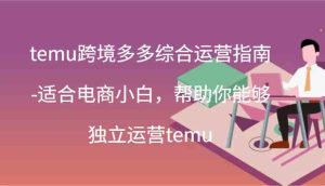 temu跨境多多综合运营指南-适合电商小白，帮助你能够独立运营temu(44节)-必智轻创社