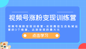 视频号涨粉变现训练营-实现微信生态私域运营的3个维度,达到变现的最大化-必智轻创社