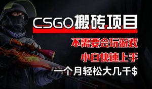 CSGO 装备搬砖项目，操作简单，不需要会玩游戏，小白也能快速上手，一个月轻松大几千【揭秘】-必智轻创社