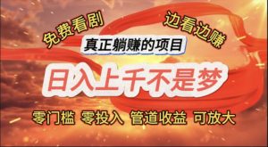 (11866期)免费看剧,边看边赚,日入上千不是梦,一个真正的躺赚项目-必智轻创社