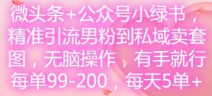 微头条+公众号小绿书,精准引流男粉到私域卖套图,无脑操作,有手就行,每单99-200,每天5单-必智轻创社