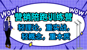 营销陪跑训练营，轻理论，重实战，轻概念，重本质，适合中小企业和初创企业的老板-必智轻创社