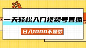 （11906期）一天入门视频号直播带货，日入1000不是梦-必智轻创社