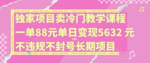 独家项目卖冷门教学课程一单88元单日变现5632元违规不封号长期项目【揭秘】-必智轻创社