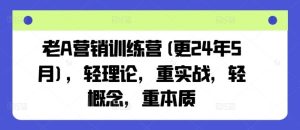 老A营销训练营(更24年7月)，轻理论，重实战，轻概念，重本质-必智轻创社