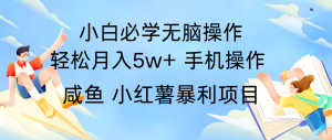 全网首发2024最暴利手机操作项目，简单无脑操作，每单利润最少500+-必智轻创社