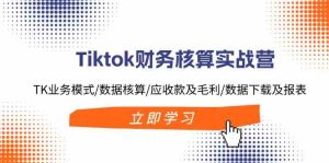 Tiktok财务核算实战营：TK业务模式/数据核算/应收款及毛利/数据下载及报表-必智轻创社