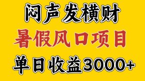 30天赚了7.5W 暑假风口项目,比较好学,2天左右上手-必智轻创社