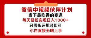 (12017期)微信中视频伙伴计划,仅靠搬运就能轻松实现日入500+,关键操作还简单,…-必智轻创社