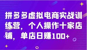 拼多多虚拟电商实战训练营,个人操作十家店铺,单店日赚100+-必智轻创社