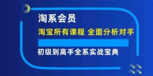 淘系会员初级到高手全系实战宝典【淘宝所有课程,全面分析对手】-必智轻创社