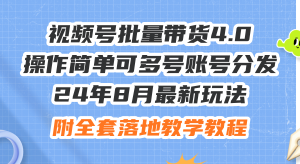 (12093期)24年8月最新玩法视频号批量带货4.0,操作简单可多号账号分发,附全套落…-必智轻创社