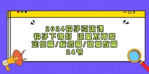 (12097期)2024钩子·引流课:钩子下得好 流量不再愁,定位篇/标签篇/破播放篇/24节-必智轻创社