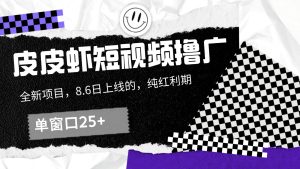皮皮虾短视频撸广，单窗口收益25+！-必智轻创社
