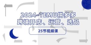 (12106期)2024-TEMU拼多多·跨境开店、运营、选品(25节视频课)-必智轻创社
