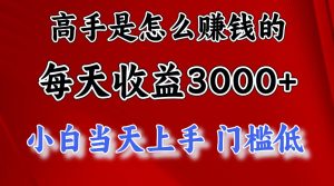 (12144期)1天收益3000+,月收益10万以上,24年8月份爆火项目-必智轻创社