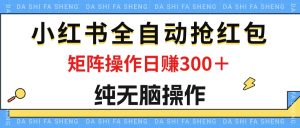 (12151期)最新小红书全自动抢红包,单号一天50+ 矩阵操作日入300+,纯无脑操作-必智轻创社