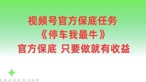 视频号官方保底任务，停车我最牛，官方保底只要做就有收益【揭秘】-必智轻创社