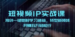 短视频IP实战课,独创一键复制学习秘籍,转战新领域,月赚五万轻松行-必智轻创社