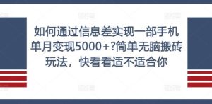 如何通过信息差实现一部手机单月变现5000+?简单无脑搬砖玩法,快看看适不适合你【揭秘】-必智轻创社
