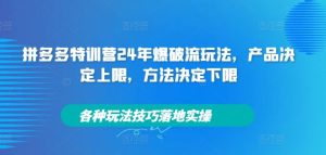 拼多多特训营24年爆破流玩法,产品决定上限,方法决定下限,各种玩法技巧落地实操-必智轻创社