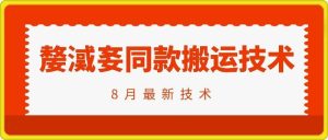 抖音96万粉丝账号【嫠㵄㚣】同款搬运技术-必智轻创社