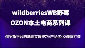 wildberriesWB野莓/OZON本土电商系列课,俄罗斯平台的基础实操技巧/产品优化/爆款打造-必智轻创社