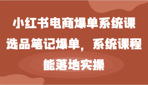 小红书电商爆单系统课-选品笔记爆单,系统课程,能落地实操-必智轻创社
