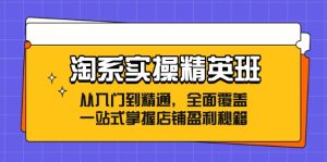 淘系实操精英班:从入门到精通,全面覆盖,一站式掌握店铺盈利秘籍-必智轻创社