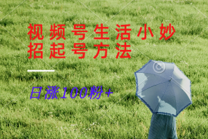 视频号生活小妙招分享赛道， 起号涨粉新方法，日涨100粉-必智轻创社