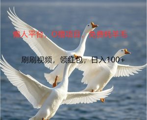 O撸懒人平台，全新手机广告不推广单机100+，刷刷就有捡钱一样， 简单无脑稳定-必智轻创社