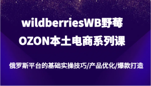 wildberriesWB野莓/OZON本土电商系列课,俄罗斯平台的基础实操技巧/产品优化/爆款打造-必智轻创社