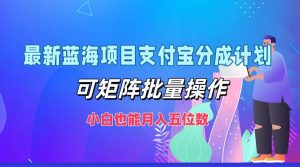 最新蓝海项目支付宝分成计划,可矩阵批量操作,小白也能月入五位数-必智轻创社