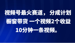 视频号最火赛道, 分成计划, 橱窗带货,一个视频2个收益,10分钟一条视频。-必智轻创社