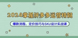 2024掌握拼多多运营精髓:爆款流程、定价技巧与SKU设计实战课-必智轻创社