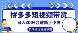 拼多多短视频带货日入300+,实操账户展示看就能学会-必智轻创社