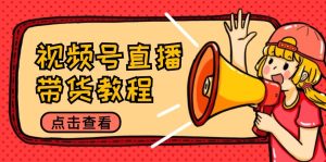 视频号直播带货教程:选品思路与话术拆解/掌握多种带货套路/提升直播效果-必智轻创社