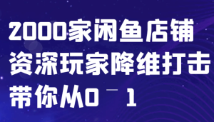 闲鱼已经饱和？纯扯淡！2000家闲鱼店铺资深玩家降维打击带你从0–1-必智轻创社